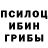 Галлюциногенные грибы Magic Shrooms octavian farcus