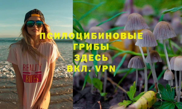 амф Валуйки